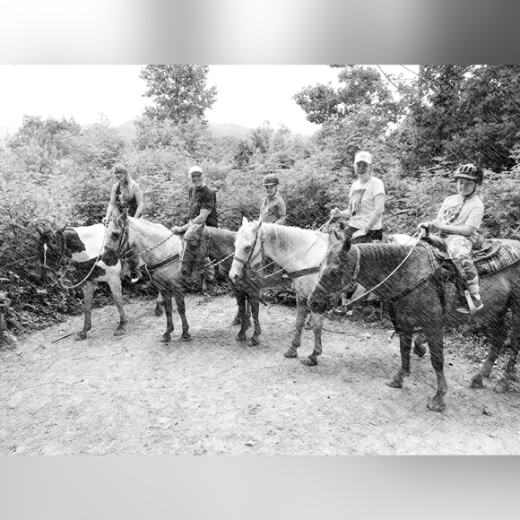 Meet your Posher, Olga - Picture 4 of 4